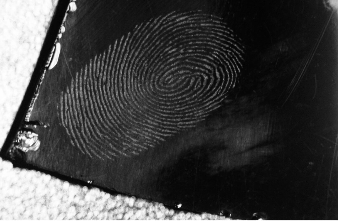 紫紅外照相機效果圖